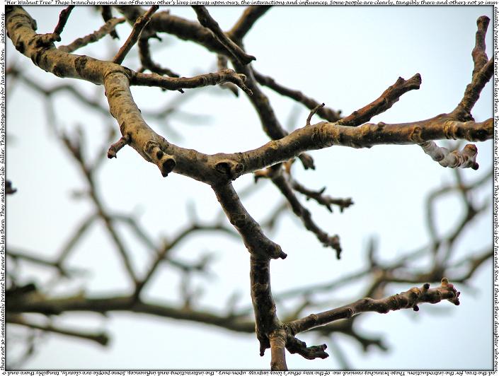 Her Walnut Tree