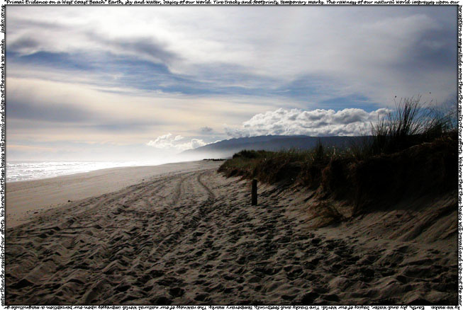 Primal Evidence on a West
                  Coast Beach